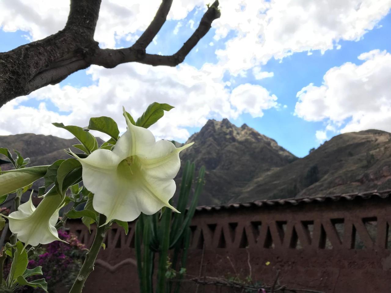 Pisac Inca Guest House Ngoại thất bức ảnh
